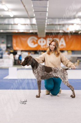 ОХОТЭСТЕТ АДЛЕР (ADLER)